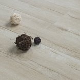 Ламинат LamiWood Glanz Glanz 302 Дуб Шелк - 1