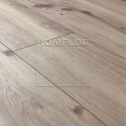 Homflor StrongДуб Себл S3539