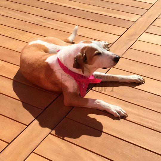 Террасная доска  Гарапа - фото 1