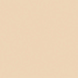 Обои Loymina Golden Library SAT30304 - 