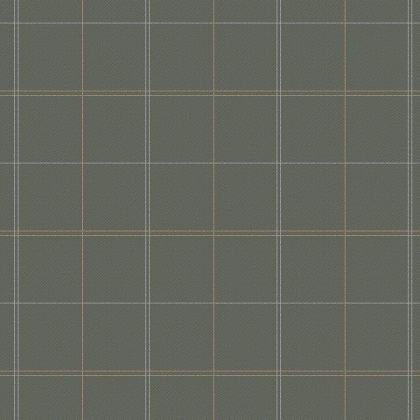 DM7004/1