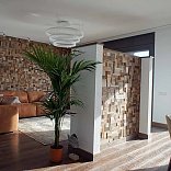 Стеновые панели Flitch Декоративные панели Хаос Сосна - 2