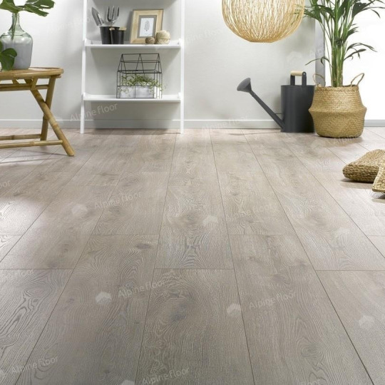 Ламинат Homflor Strong Strong 536 Long Island - фото 1