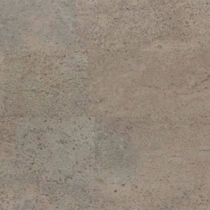 Amorim Wise Identity Silver