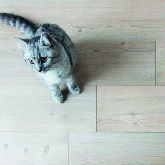 Ламинат Alloc Original Original 05291 Сосна Белая - фото 3