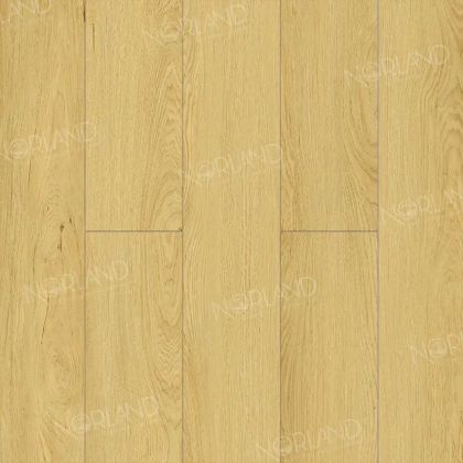 Norland Elegant StrongДуб Элмер LF302-08
