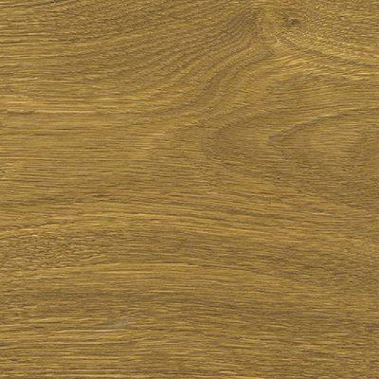 Пробковый пол Corkstyle Wood XL Oak Knotty - фото 2