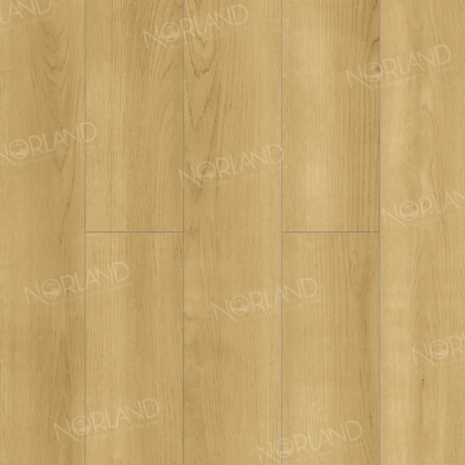 Norland Elegant StrongДуб Лузон LF302-06