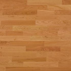 Bauwerk Вишня American Селект