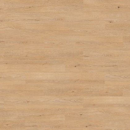 Amorim Wise Natural Light Oak
