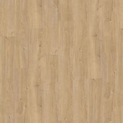 Adelar 400087748 Sebastian Oak 05325
