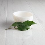 Ламинат LamiWood Glanz Glanz 306 Дуб Гальяно - 2