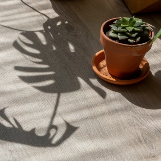 Кварц виниловый ламинат Vinilam Click 20468 -EIR Дуб Ален
- фото 4