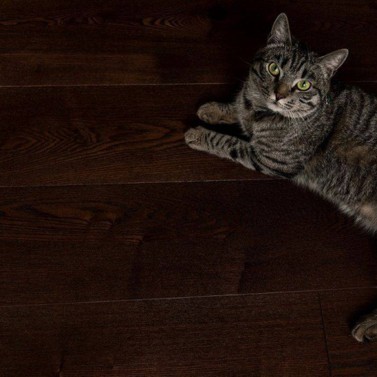 Массивная доска Amber Wood Amber Wood Ясень Кофе- фото 2