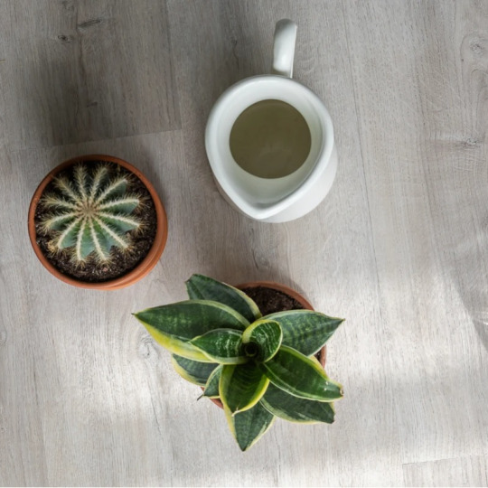 Кварц виниловый ламинат Vinilam Click 20468 -EIR Дуб Ален
- фото 5