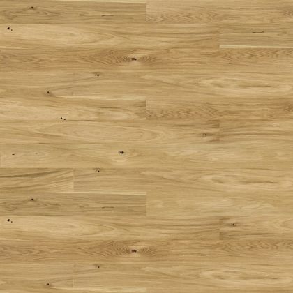 Barlinek Дуб Askania