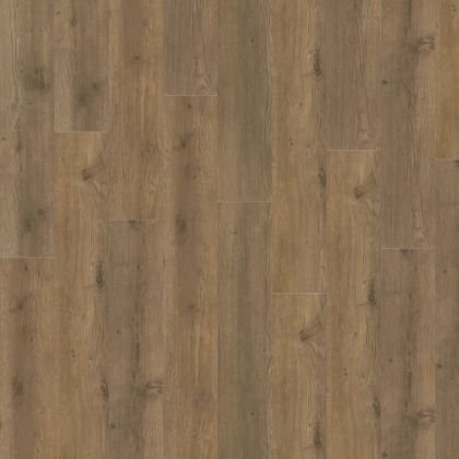 Adelar 400087744 Major Oak 05855