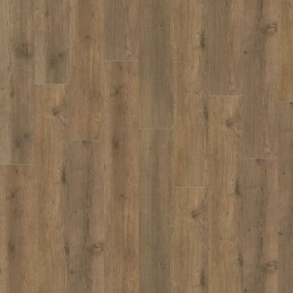 Adelar 400087744 Major Oak 05855