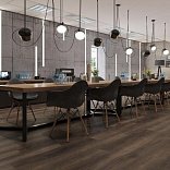 Кварц виниловый ламинат Alpine Floor Easy Line LVT ECO 3-43 Дуб Левитан

3 мм - 3