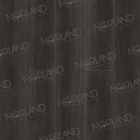 Norland Rondane 2001-5
