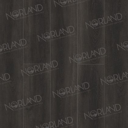 Norland Rondane 2001-5
