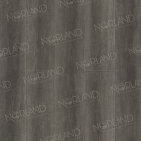 Norland Glomma 2001-1
