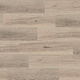 Ламинат Kastamonu Floorplan Orange Floorplan Orange FP952 Дуб Жемчужный - 