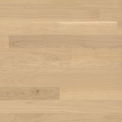 Bauwerk Дуб Crema