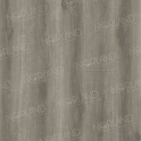 Norland Renaelva 2001-7