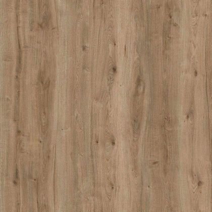 Amorim Wise Field Oak