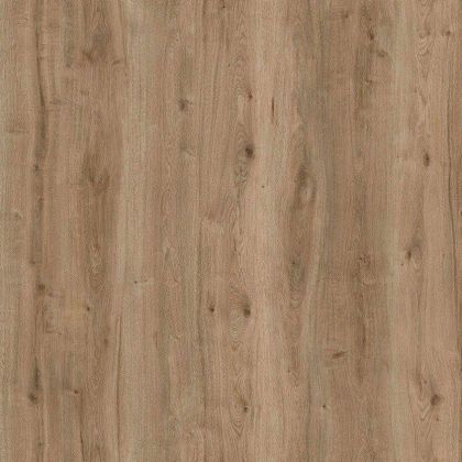 Amorim Wise Field Oak