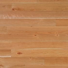 Bauwerk Вишня американская