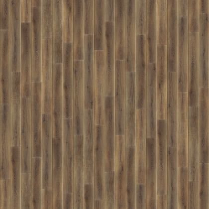 FirstFloor 1F005 Коричневый дикий лес/Wild Forest Brown