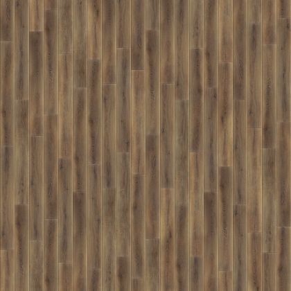 FirstFloor 1F005 Коричневый дикий лес/Wild Forest Brown