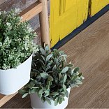 Кварц виниловый ламинат Vinilam Glue 14609 Дуб Ваймар - 2
