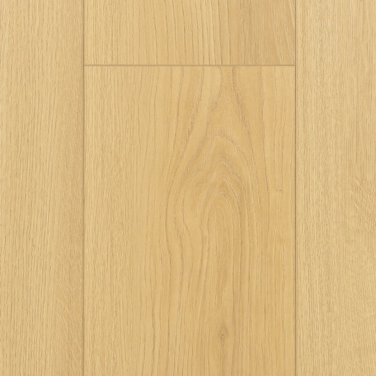 Ламинат FirstFloor EXCELLENCE BLACK CORE 4D EXCELLENCE BLACK CORE 4D 1F403 Дуб Лояль | Loyal oak - фото 1