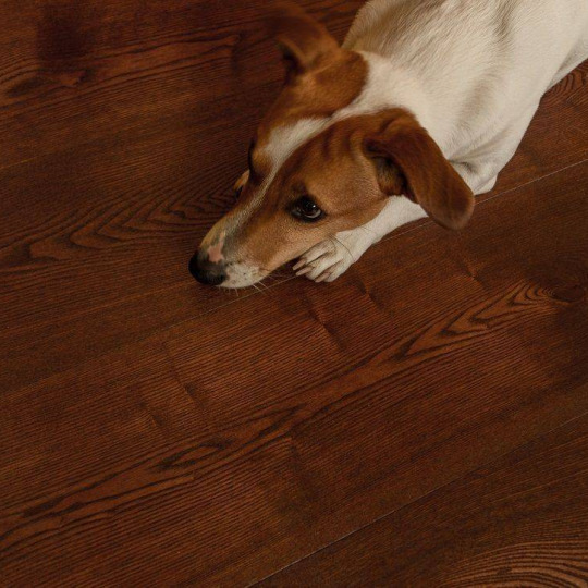 Массивная доска Amber Wood Amber Wood Ясень Шоколад- фото 2