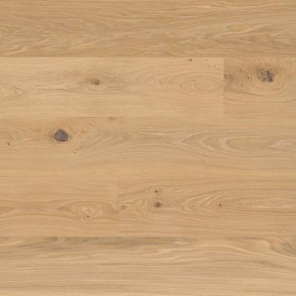 Bauwerk Дуб Avorio
