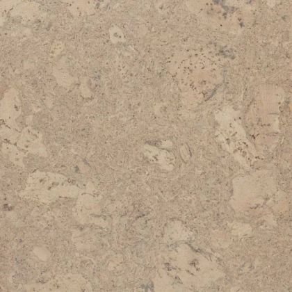 Amorim Wise Personality Champagne