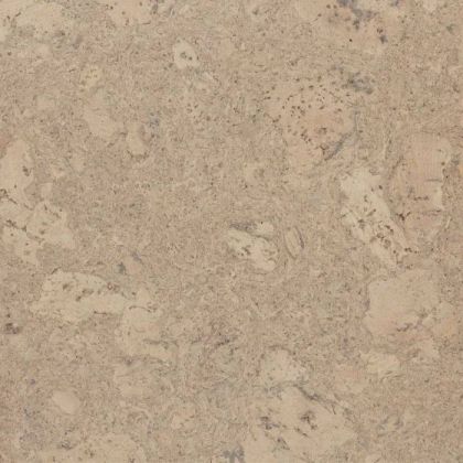Amorim Wise Personality Champagne