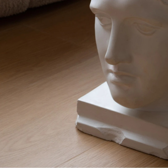 Кварц виниловый ламинат Vinilam ВИНИЛПОЛ SPC click 8822 -EIR Дуб Ферра
- фото 6