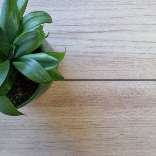 Ламинат Alloc Original Original 04700 Дуб Берген Палуба - фото 4