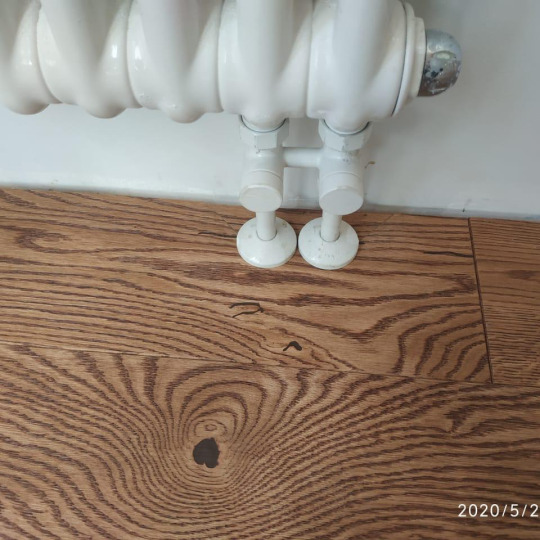 Инженерная доска Legend Nut oil (Масло орех) - фото 5