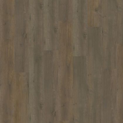 Adelar 400087742 Major Oak 05871