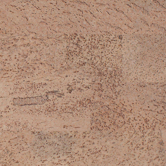 Стеновые панели Amorim Wise Amorim Wise RY1M Malta Champagne - фото 1