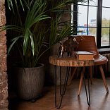 Кварц виниловый ламинат Vinilam Ceramo Stone 61601 Дуб Натуральный - 11