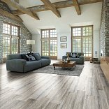 Кварц виниловый ламинат Westerhof Spark 1002-32 Ash - 1