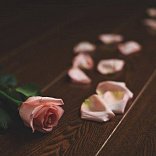 Паркетная доска Amber Wood Ясень Шоколад Фьюжн - 1