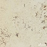 Стеновые панели Ibercork EasyCork Лорка - 