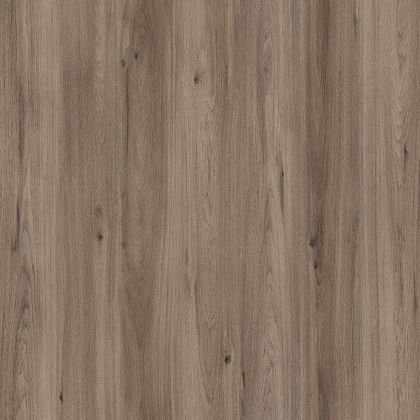 Amorim Wise Quartz Oak